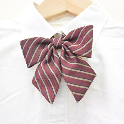 【中古】千葉県 芝浦工業大学柏高等学校 女子制服 4点 (ブレザー・シャツ・スカート) sf114231