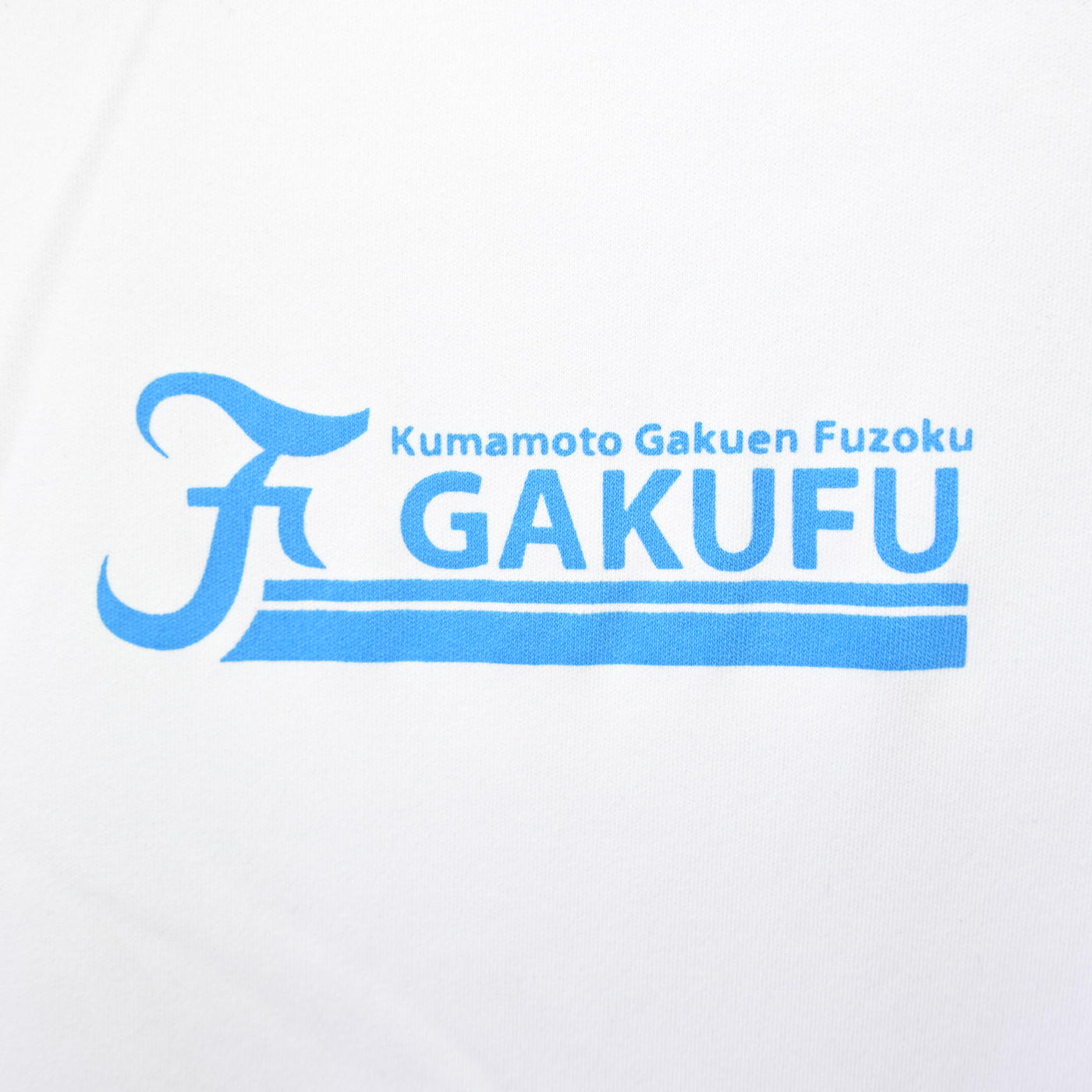 【中古】熊本県 熊本学園大学付属高等学校 女子制服 2点 (体操服 上) sf114461