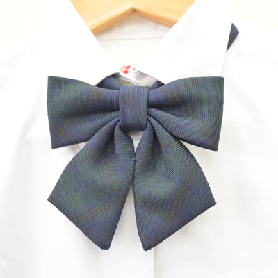 【中古】東京都 トキワ松学園中学校高等学校 女子制服 3点 (シャツ) sf114498