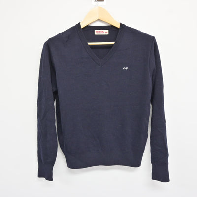 【中古】茨城県 古河第二高等学校 女子制服 2点 (ニット・ニットベスト) sf116069