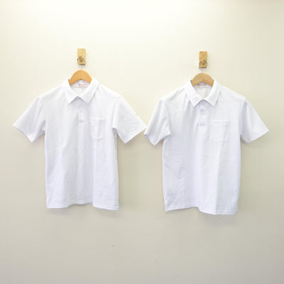 【中古】北海道 厚別南中学校 女子制服 2点 (シャツ) sf120086