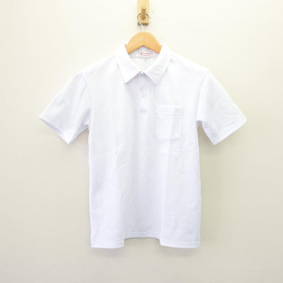 【中古】北海道 厚別南中学校 女子制服 2点 (シャツ) sf120086