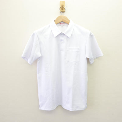 【中古】北海道 厚別南中学校 女子制服 2点 (シャツ) sf120086