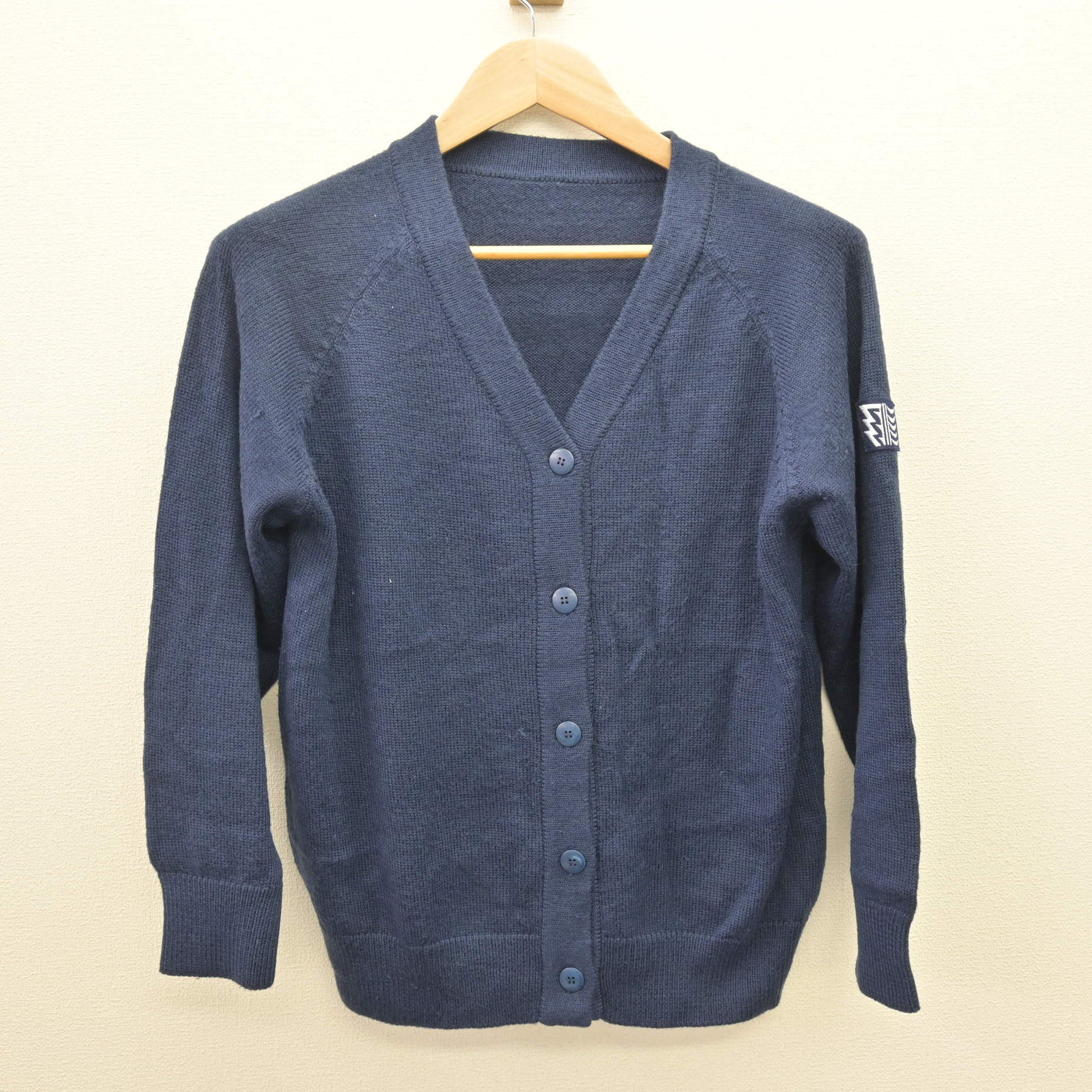 【中古】北海道 藤女子中学校 女子制服 3点 (ニット) sf120689