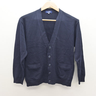【中古】長野県 松本秀峰中等教育学校 女子制服 2点 (ニット) sf120800