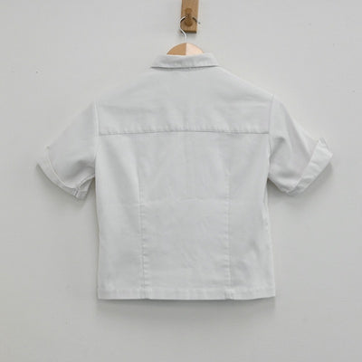 【中古】栃木県 作新学院高等学校 女子制服 1点（シャツ）sf003407