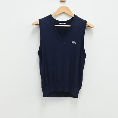 【中古】東京都 上板橋第三中学校 女子制服 2点（ニットベスト・スカート）sf003512