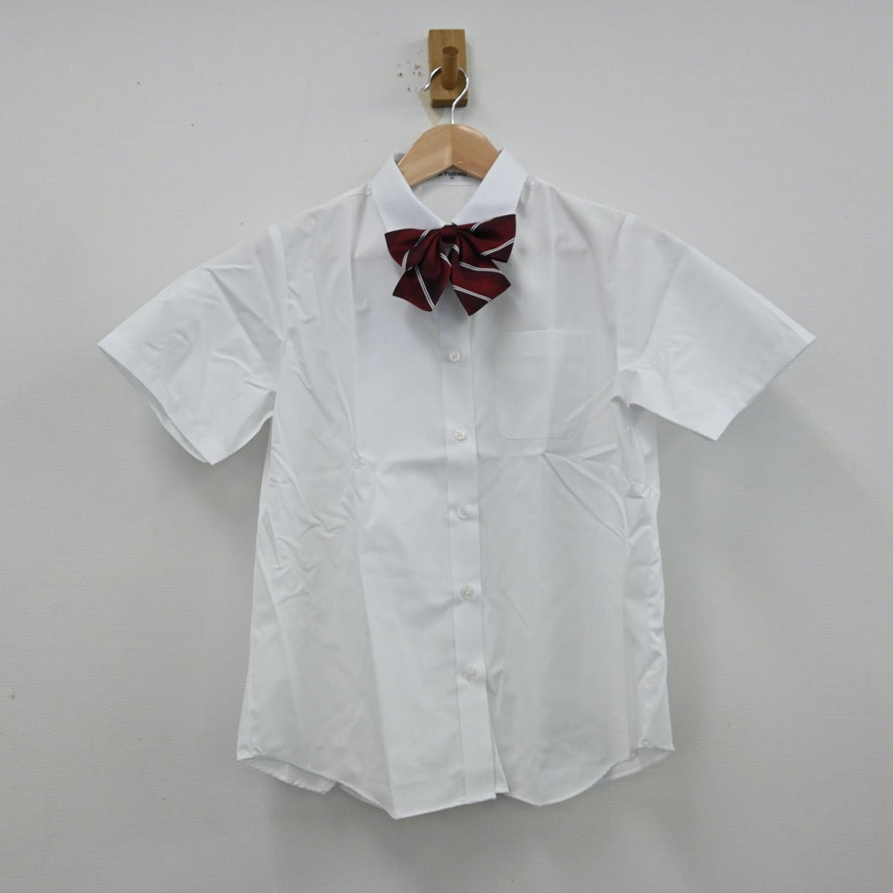 【中古】千葉県 千葉日本大学第一高等学校 女子制服 3点（シャツ・ニットベスト）sf012447