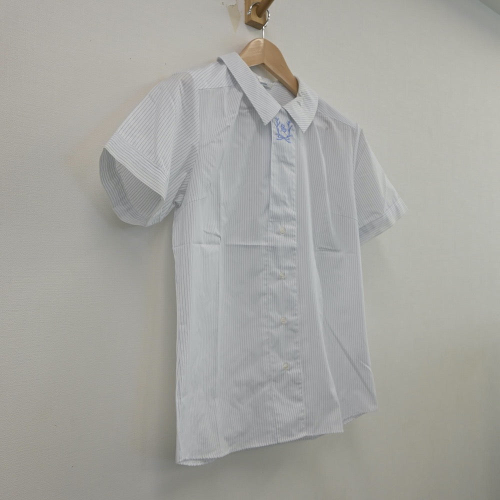 【中古】長野県 清泉女学院高等学校 女子制服 2点（シャツ）sf015232