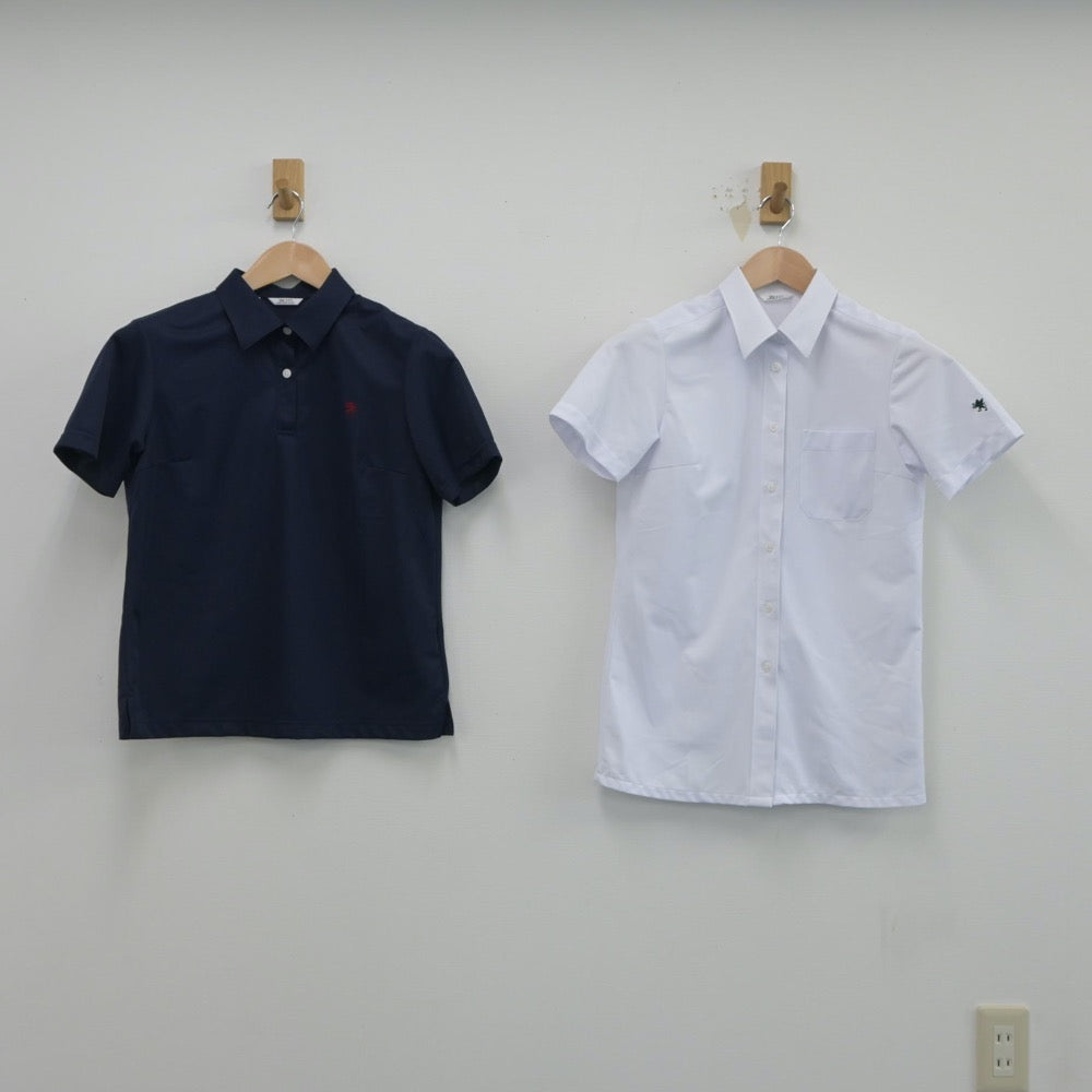 【中古】宮城県 仙台育英学園高等学校 女子制服 2点（シャツ・シャツ）sf015905