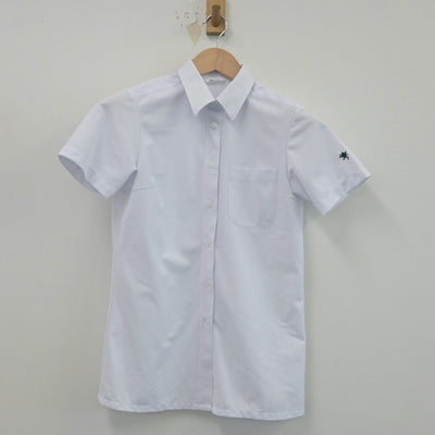 【中古】宮城県 仙台育英学園高等学校 女子制服 2点（シャツ・シャツ）sf015905