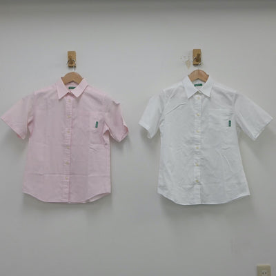 【中古】東京都 私立大森学園高等学校 女子制服 4点（ニットベスト・シャツ）sf016072