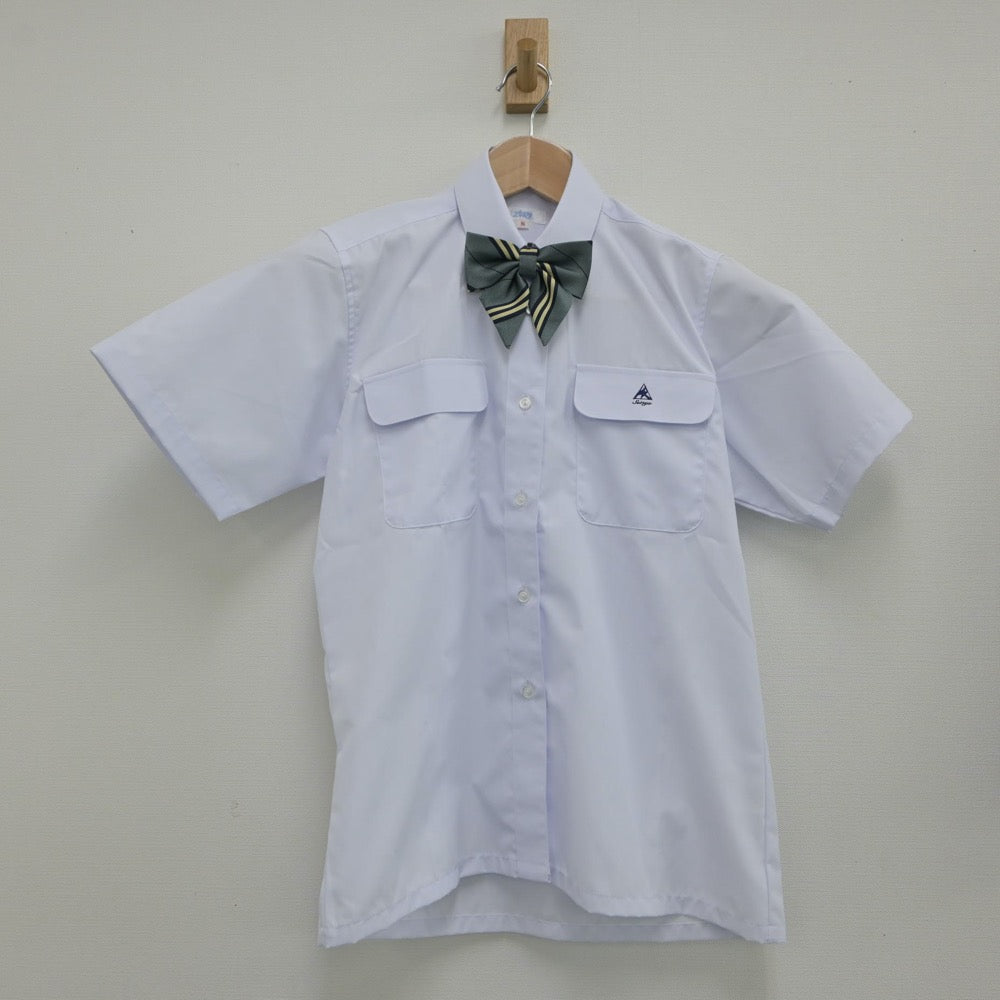 【中古】東京都 青稜高等学校 女子制服 3点（シャツ・スカート）sf016551