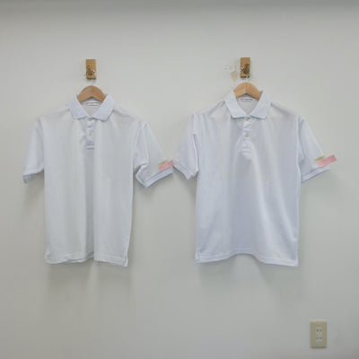 【中古】愛知県 愛知県立犬山高等学校 女子制服 2点（シャツ）sf018739