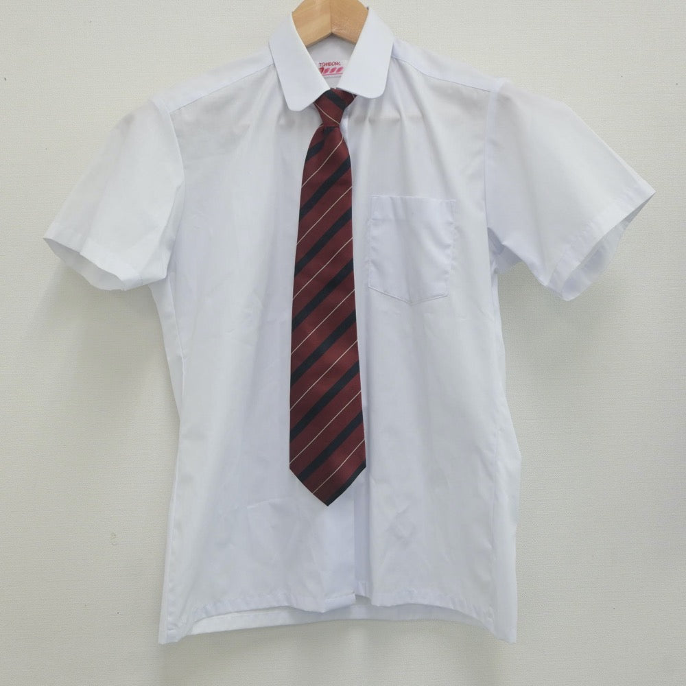 【中古】秋田県 城南中学校 女子制服 3点（シャツ・スカート）sf022728