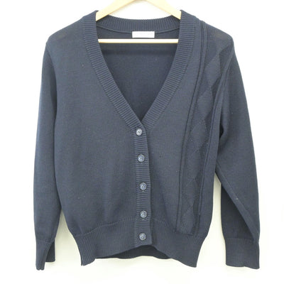 【中古】静岡県 日本体育大学 浜松日体高等学校 女子制服 2点（ニット・スカート）sf024318