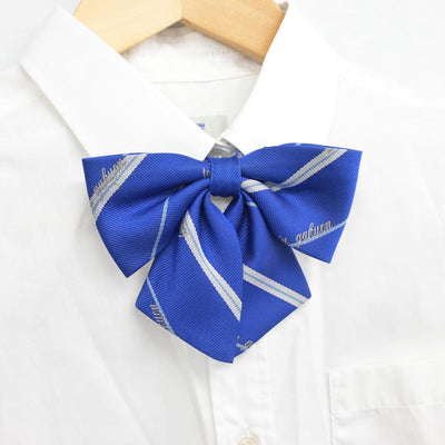 【中古】神奈川県 桐蔭学園高等学校 女子制服 4点（ブレザー・シャツ・スカート）sf026615