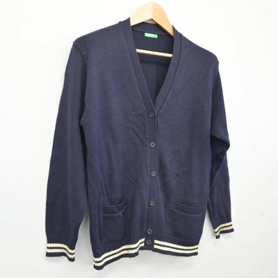 【中古】千葉県 植草学園大学付属高等学校 女子制服 1点（ニット）sf028299