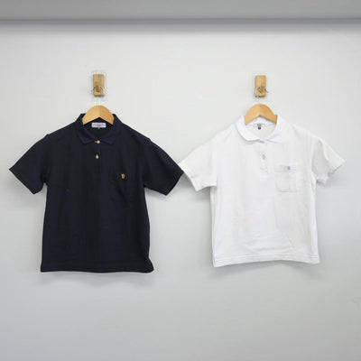 【中古】神奈川県 法政大学第二中学校 女子制服 1点（シャツ）sf029692