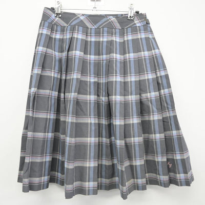 【中古】栃木県 國學院大學栃木高等学校 女子制服 3点（ニットベスト・スカート）sf030205