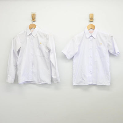 【中古】埼玉県 伊奈学園総合高等学校 女子制服 2点（シャツ・シャツ）sf032502