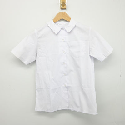 【中古】兵庫県 学文中学校 女子制服 3点（ニットベスト・シャツ・スカート）sf037781