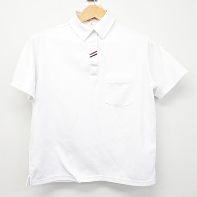 【中古】大阪府 大阪市立港南中学校 女子制服 2点(シャツ・シャツ)sf038622
